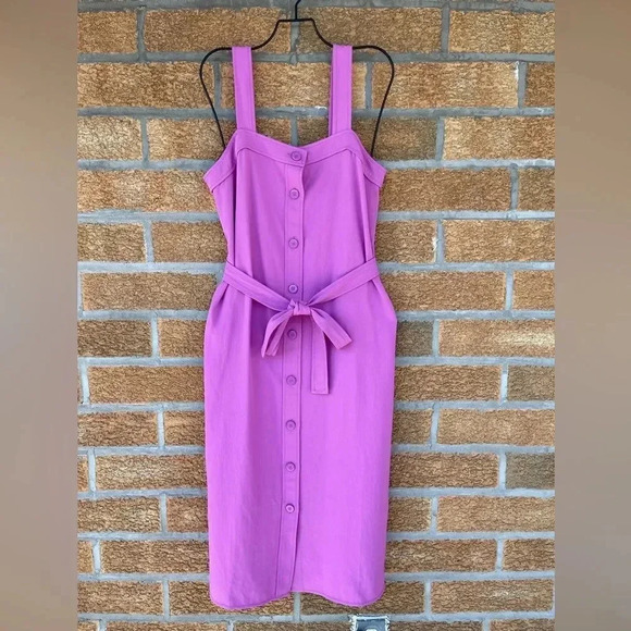 Everlane Magenta Japanese GoWeave Picnic Button Front Dress size 4 - Picture 4 of 11